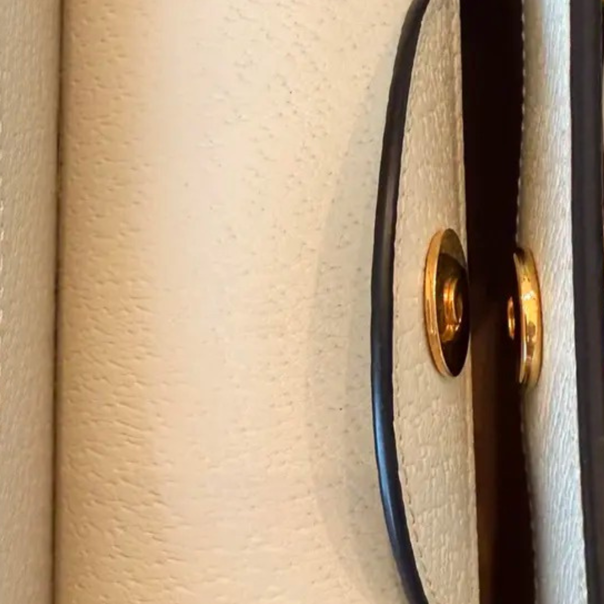 SAC CABAS GUCCI DIANA MOYEN