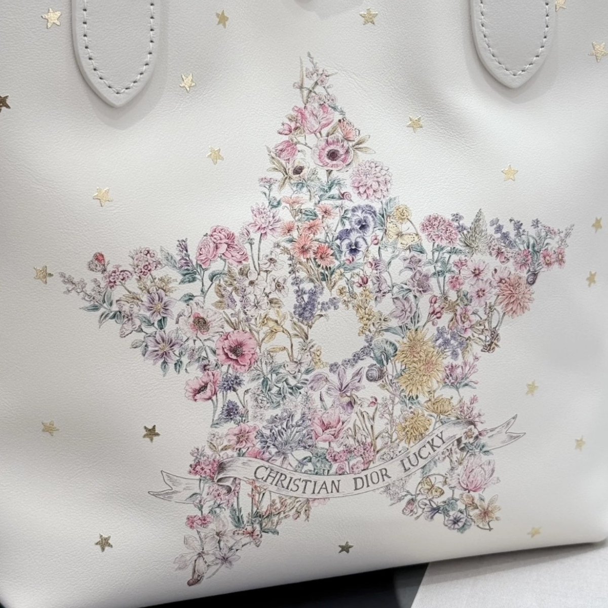 Petit sac cabas vertical Dior Lucky Dior Tojours