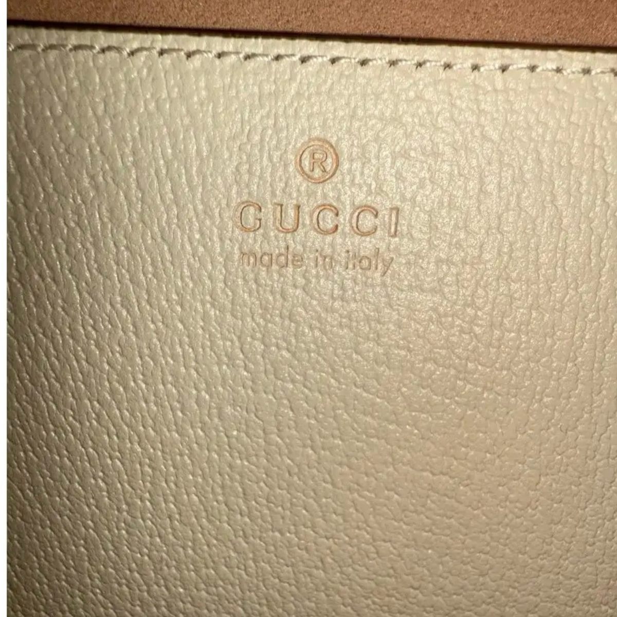 SAC CABAS GUCCI DIANA MOYEN