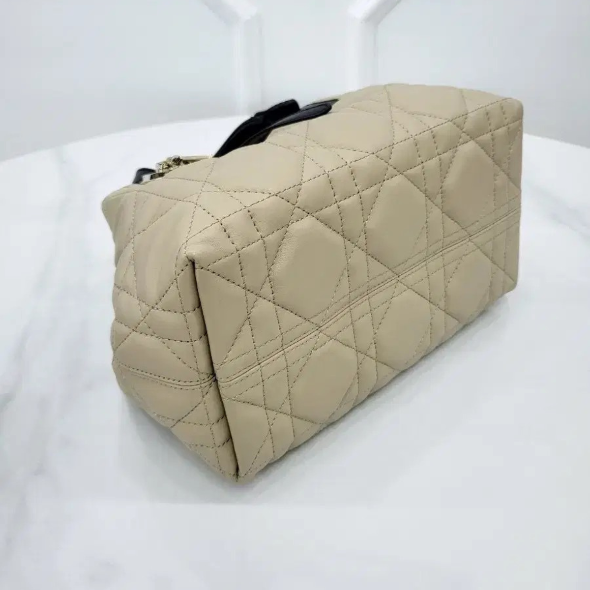 Petit sac Dior Toujours