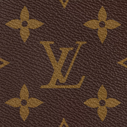 MULTI POCHETTE ACCESSOIRES LOUIS VUITTON